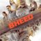Bheed – Full HD Movie – Rajkummar Rao, Bhumi Pednekar, Anubhav Sinha